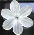 Daisy round petal
