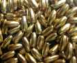 3 x 6mm Gold