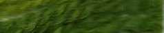 691