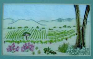 Barossa