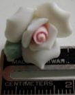Pink Rose